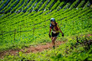 BIB: 
                            <button type="button" onclick="openModal(19162887)" class="btn btn-primary btn-sm float-right btn-popup" data-toggle="modal" data-target=".modal-high-quality">
                        <i class="fas fa-shopping-cart"></i> Add to Cart
                    </button>
                                            <button type="button" onclick="isThisMe(19162887, true)" class="btn btn-success btn-sm float-right btn-popup btn-isme hidden" data-toggle="tooltip" data-placement="bottom" title="นี่คือรูปของคุณใช่ไหม คลิกที่นี่เพื่อเอาเข้าอัลบั้ม">
                        <i class="fas fa-plus"></i> Add to album
                    </button>
                    <button type="button" onclick="isThisMe(19162887, false)" class="btn btn-warning btn-sm float-right btn-popup btn-isnotme hidden">
                        <i class="fas fa-ban"></i> Remove from album
                    </button>